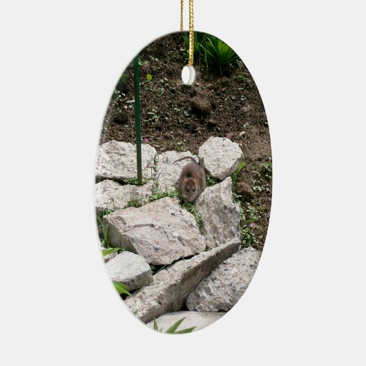 Vole Ornament (Rechts)