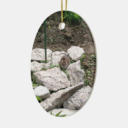 Vole Ornament (Links)