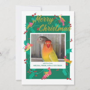 Volkslied-Vögel, benutzerdefinierte Weihnachtsfoto Feiertagskarte