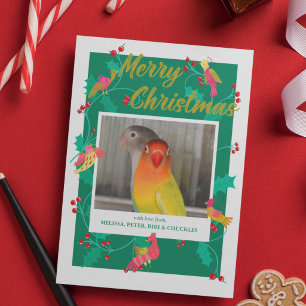 Volkslied-Vögel, benutzerdefinierte Weihnachtsfoto Feiertagskarte