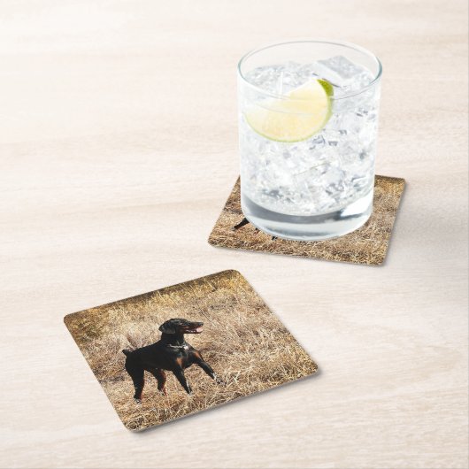 voll rechteckiger pappuntersetzer (Vor Ort)