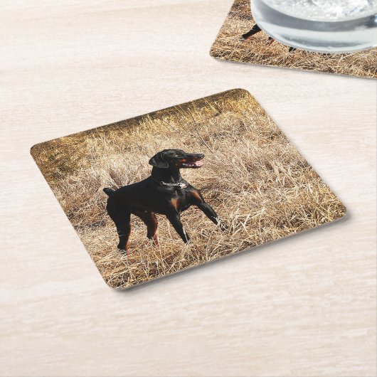 voll rechteckiger pappuntersetzer (angewinkelt)