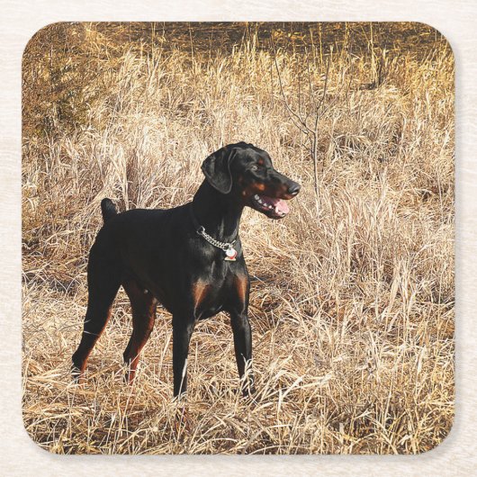 voll rechteckiger pappuntersetzer (Vorderseite)