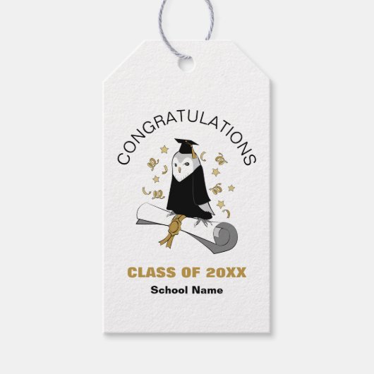 Voll-Vorschule / Kindergarten-Graduierungspartei Geschenkanhänger (Vorderseite)