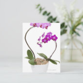 Vollbild Orchid abgeschieden auf weißem Hintergrun Postkarte (Stehend Vorderseite)