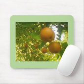 Vollblut der Birnen Mousepad (Mit Mouse)