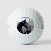 Vollblut Golf Ball (Vorderseite)