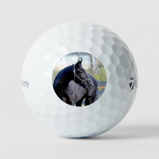 Vollblut Golf Ball (Vorderseite)