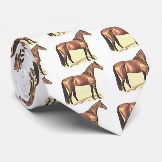 Vollblut Krawatte (Gerollt)