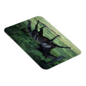 Vollblut Magnet (Rechte Seite)