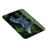 Vollblut Magnet (Rechte Seite)