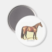 Vollblut Magnet (Vorderseite/Rückseite)