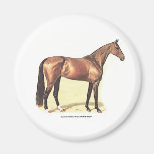 Vollblut Magnet