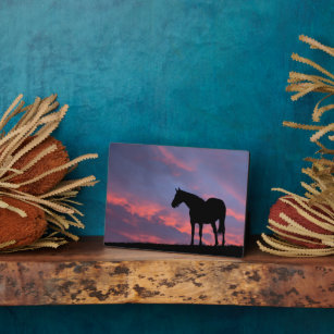 Vollblut Pferd Silhouette bei Sonnenaufgang Fotoplatte