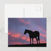 Vollblut Pferd Silhouette bei Sonnenaufgang Postkarte (Vorne/Hinten)