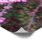 Vollblut Poster (Ecke)