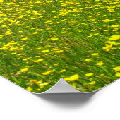 Vollblüte Poster (Ecke)