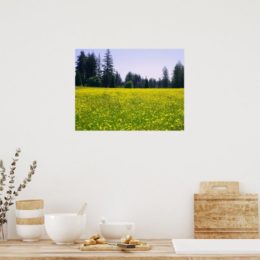 Vollblüte Poster (Küche)