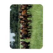 Vollblutjunge Magnet (Vertikal)