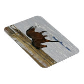 Vollblutpferd im Schnee Magnet (Rechte Seite)