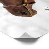 Vollblutpferd - Nano Man - Höhe Poster (Ecke)