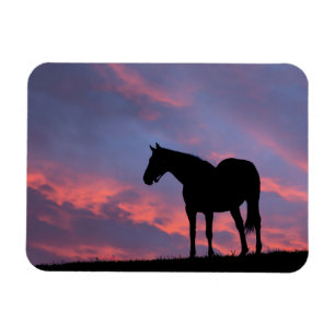Vollblutpferd Silhouette bei Sonnenaufgang Magnet