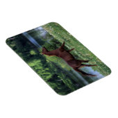 Vollblutpferd Stehend in Blume Magnet (Rechte Seite)