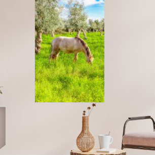 Vollblutschwangere Stute aus Alter Real Fotodruck