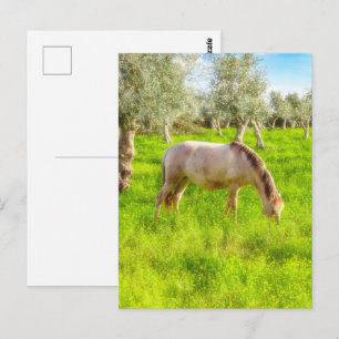 Vollblutschwangere Stute aus Alter Real Postkarte