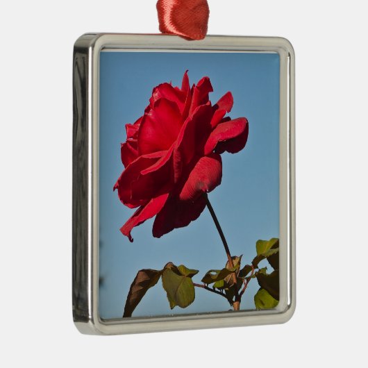 Volle Blüte-Rose an der Rosen-Schüssel, Pasadena Ornament Aus Metall (Rechts)