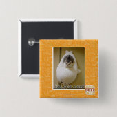 Volle Geschwindigkeit voran Button (Vorne & Hinten)