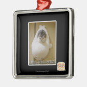 Volle Geschwindigkeit voran Silbernes Ornament (Links)