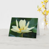 Volle Lotus-Karte Karte (Gelbe Blume)
