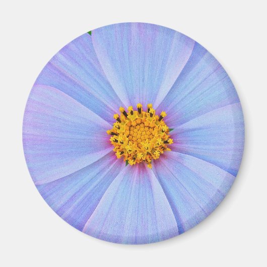 Voller Sterne Magnet (Vorne)