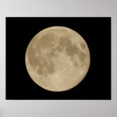 Vollernte Moon Poster (Vorne)