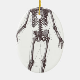 Volles Skelett Keramik Ornament