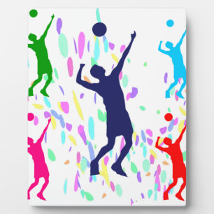 VOLLEYBALL FOTOPLATTE