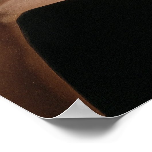 Volleyball-Hände Poster (Ecke)