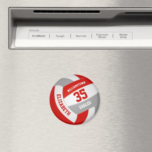 Volleyball in Grautönen Magnet (In Situ (Geschirrspüler))