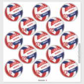 Volleyball-Mannschaft Mitglieder Rot-Blau-Set von  Aufkleber (Blatt)