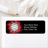 Volleyball, rot (Insitu)