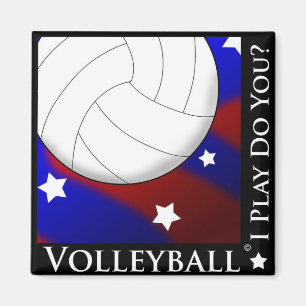 Volleyball-Stern-u. Streifen-Magnet Magnet