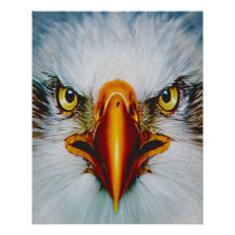 Vollface Eagle