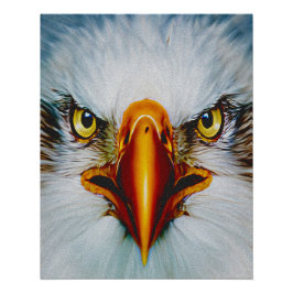 Vollface Eagle Poster