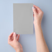 Vollfarbiges Silber Flyer (Handgriff)