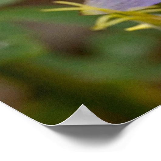 Vollformat Poster (Ecke)