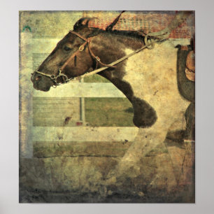 Vollgeschwindigkeit, Pinto Pony Poster