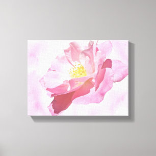 Völlig rosa kultivierte Rosenblüte Leinwanddruck