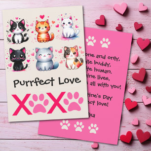 Vollkommene Liebe Süße Katzen Valentinstag Thema Feiertagskarte