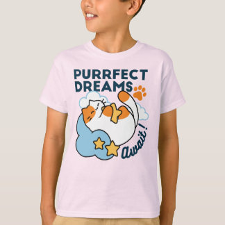 Vollkommene Träume warten – süße schlafende Katze T-Shirt